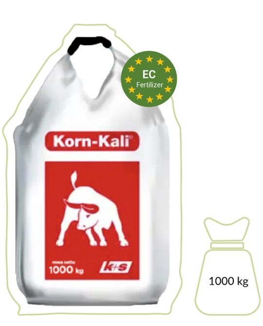Korn – Kali